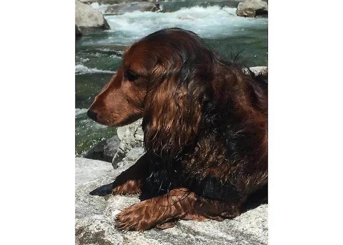 Auf Burg * Brione sopra Minusio